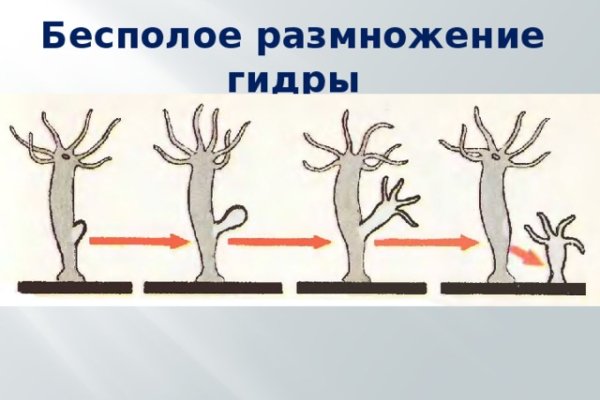 Kra34.cc