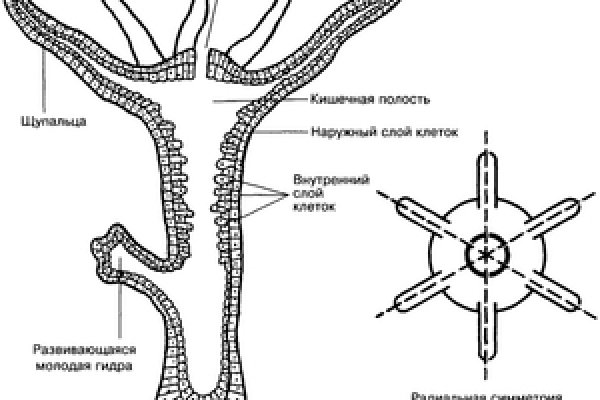 Кракен как зайти на сайт